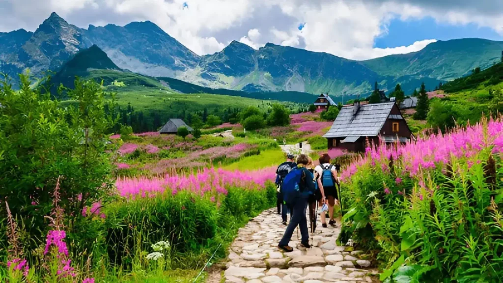 Valley of Flowers National Park