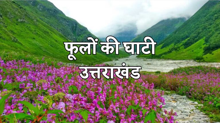 Valley of Flowers: फूलों की घाटी का यादगार सफर ! जाने रूट, रहना, खाना, यात्रा का खर्चा और ट्रेवल टिप्स